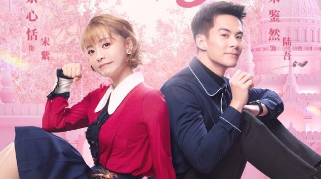Download Drama China Falling In Love With Cats Sub Indo