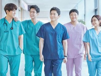 Download Drama Korea Hospital Playlist Sub Indo