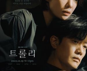 Download Drama Korea Trolley Subtitle Indonesia