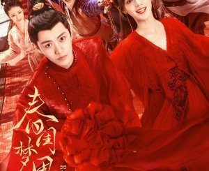 Download Drama China Romance of a Twin Flower Subtitle Indonesia