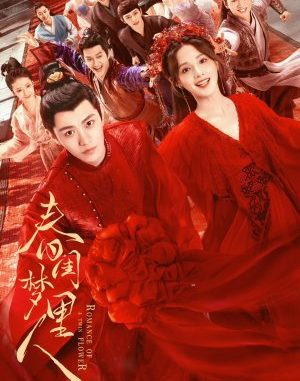 Download Drama China Romance of a Twin Flower Subtitle Indonesia